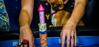 Ver o pagar una apuesta en poker