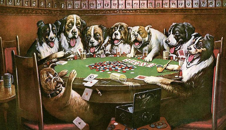 Perros Perros